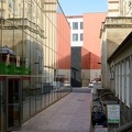 DSC 5442