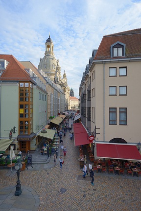 DSC 5461