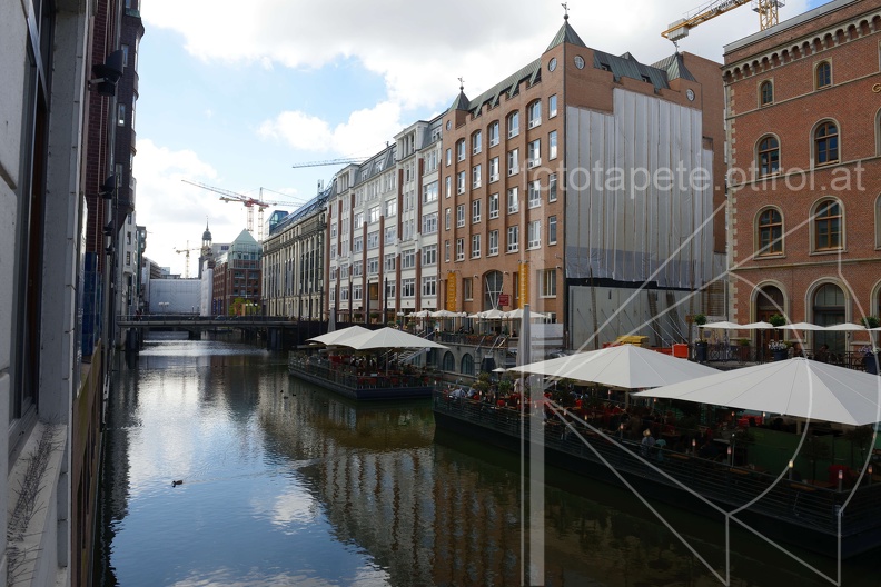 DSC_0329.jpg