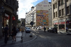 DSC 0600