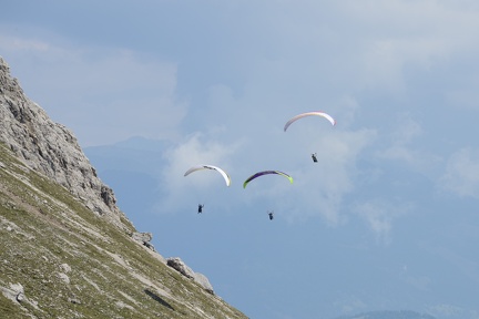 MSK 1391