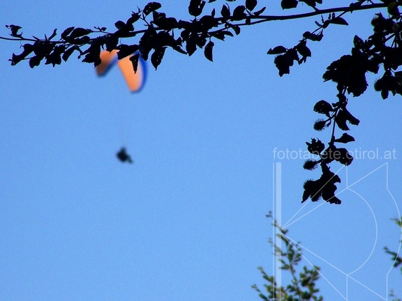 20111009 113409 275