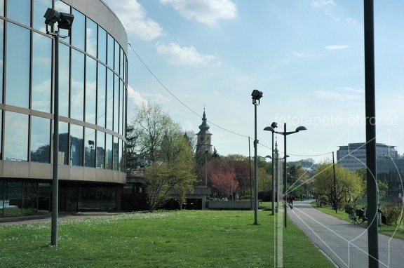 DSC 2523
