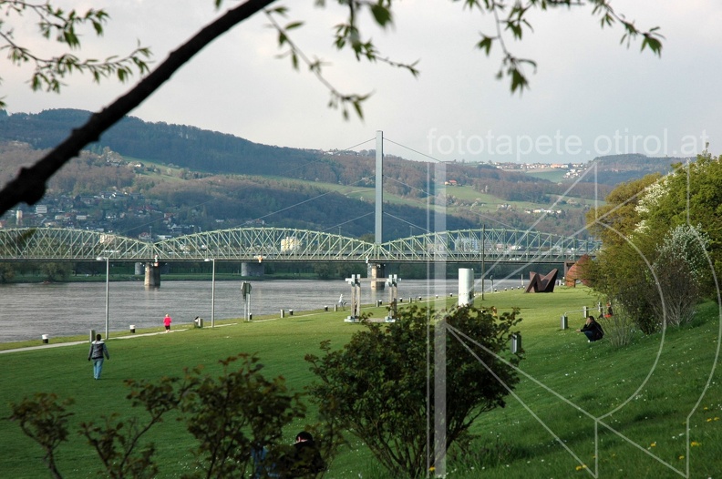 DSC 2540