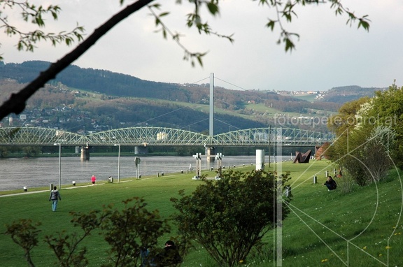 DSC 2540