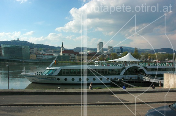 DSC 2553