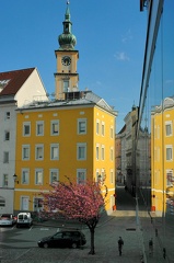 DSC 2557