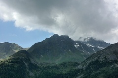 DSC 3509
