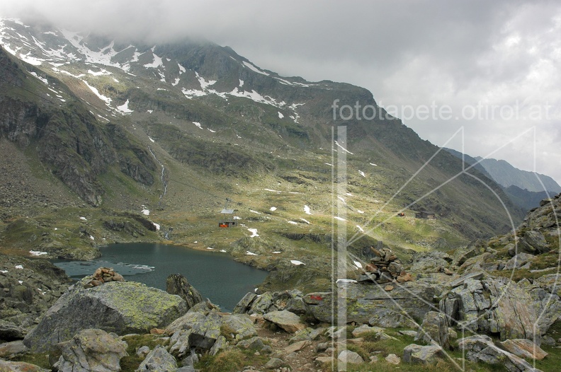 DSC_3532.jpg