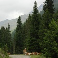 DSC 3558