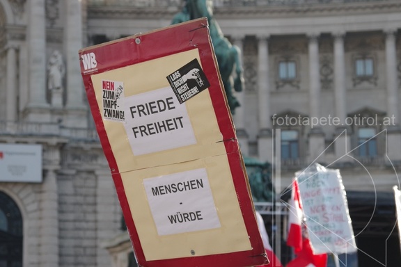 IMGP5946
