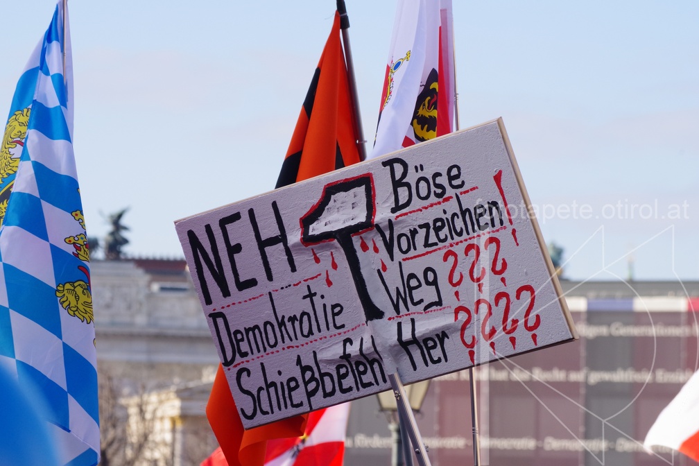 IMGP5955