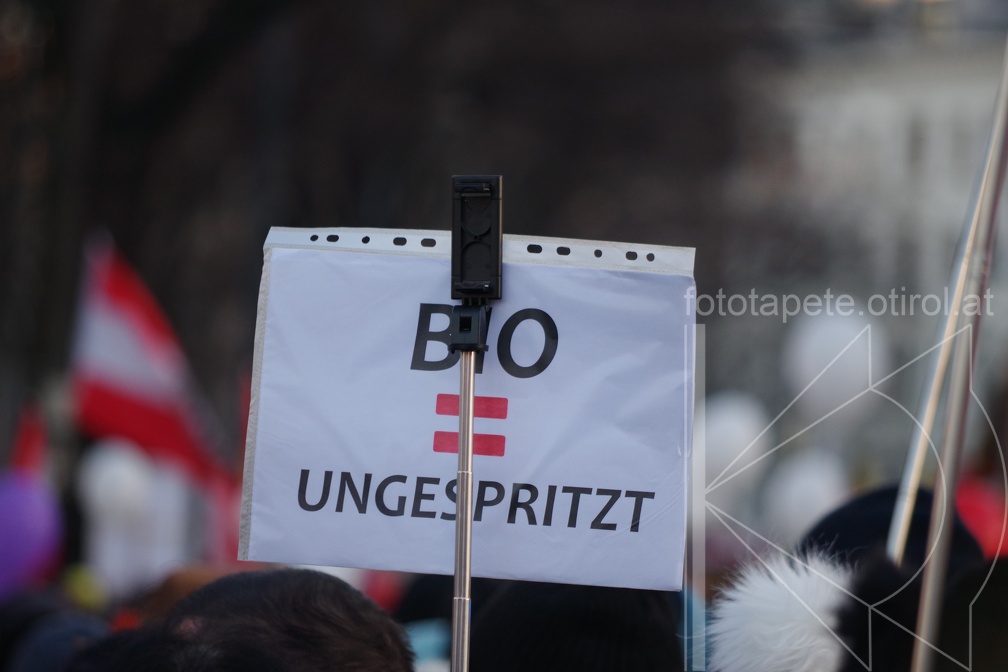 IMGP6382
