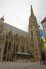 MSN 8050