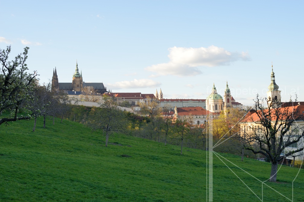 MSN 8338