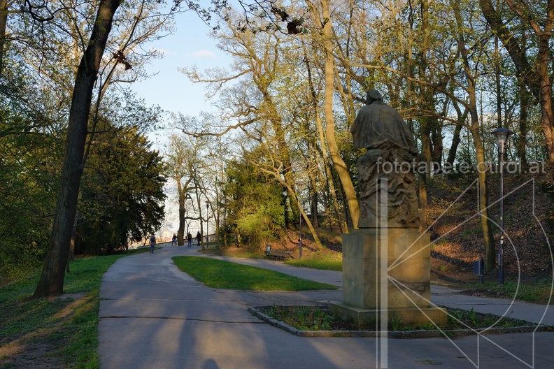 MSN_8353.jpg