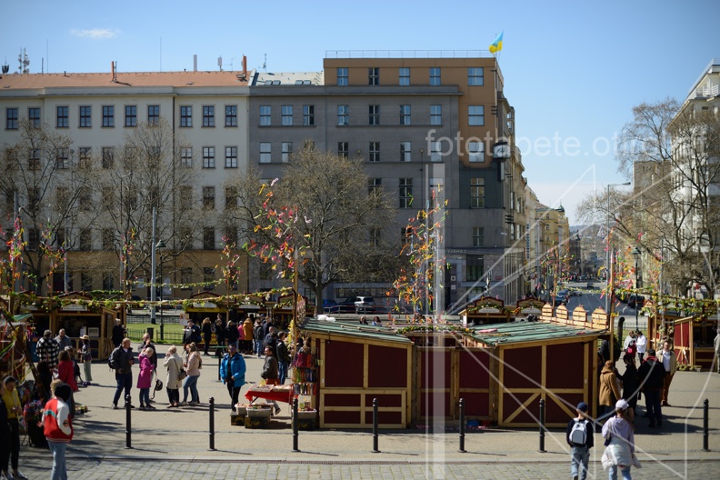 MSN_8416.jpg