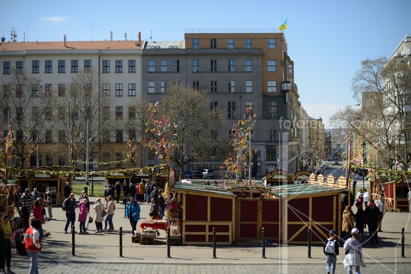 MSN 8416