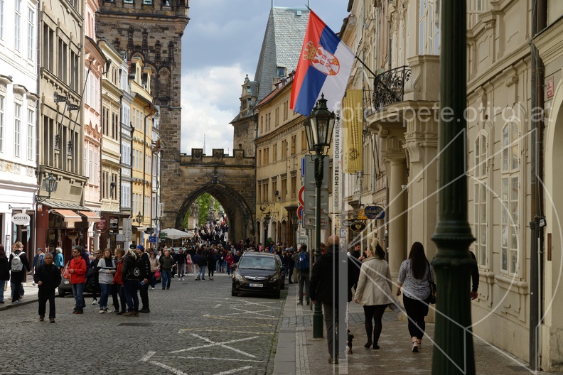 MSN_8572.jpg