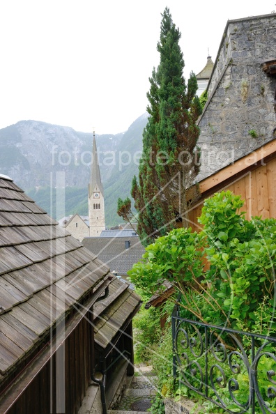 MSN_8677.jpg