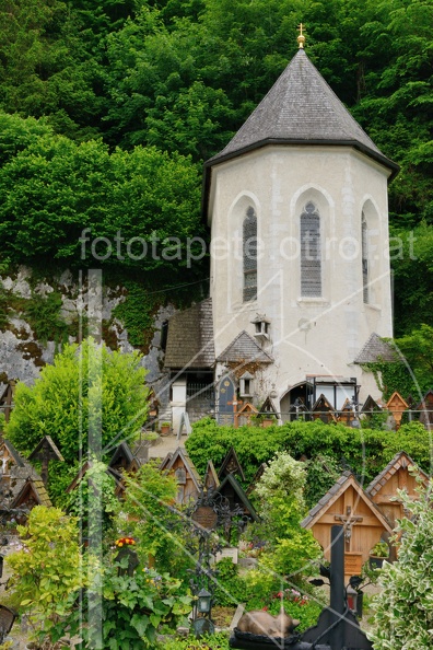 MSN_8681.jpg