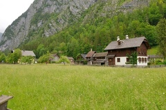 MSN 8694