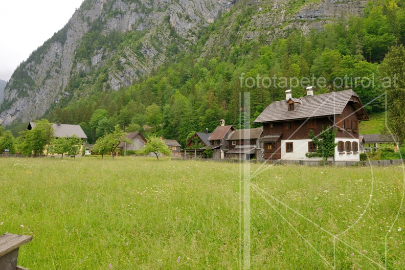 MSN_8694.jpg