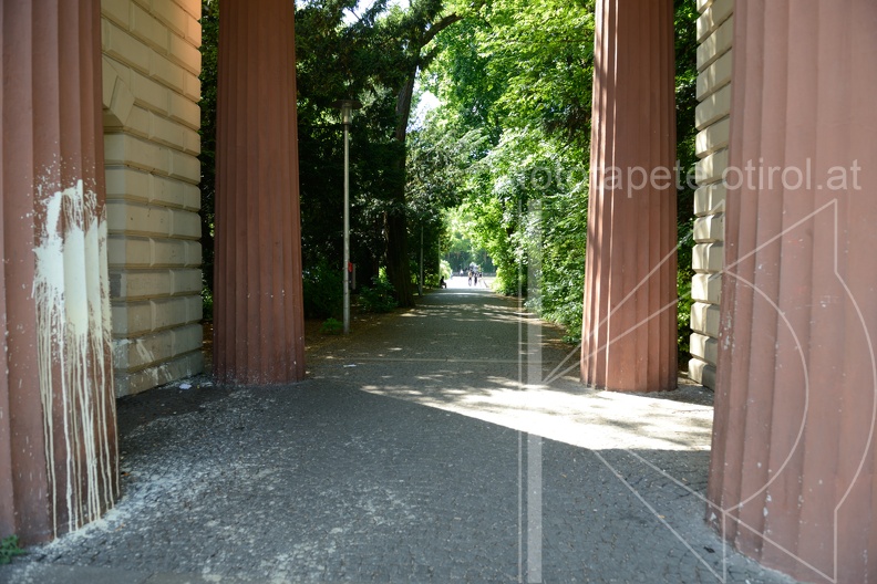 MSN_8771.jpg