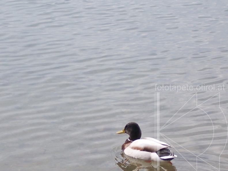100_0317.jpg