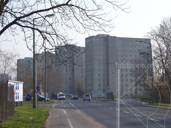Bild 013