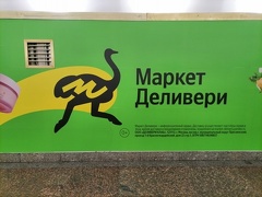 IMG 20230712 124454