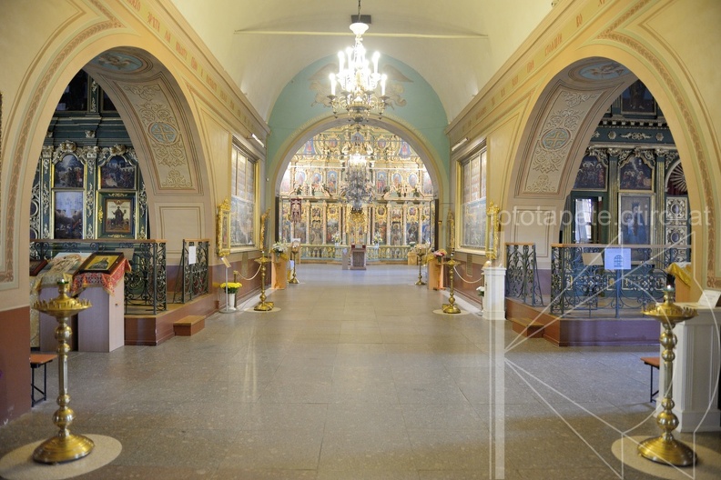 MSP_2270.jpg
