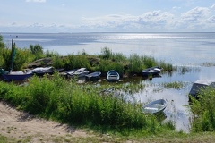 MSP 2498