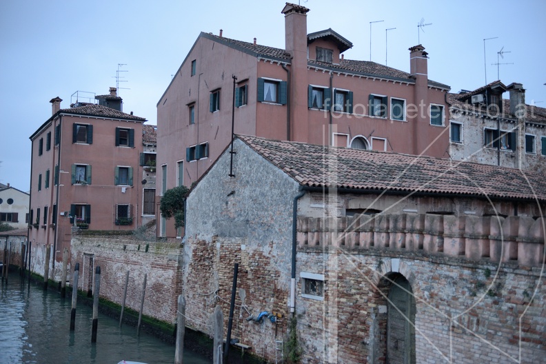 MSR_3951.jpg