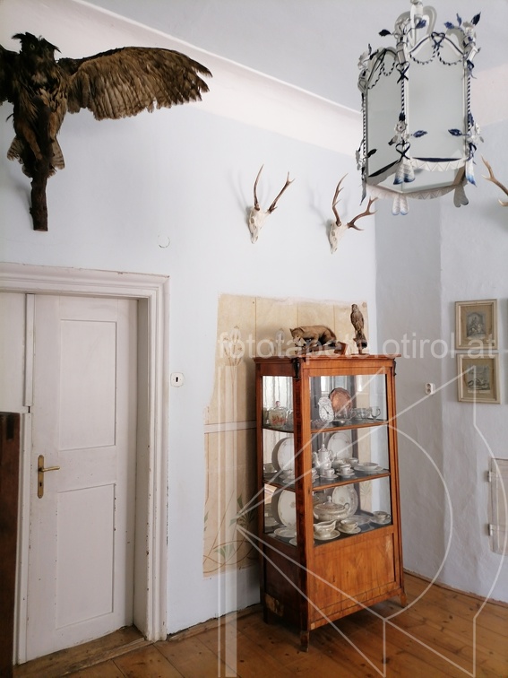 IMG 20230811 144948