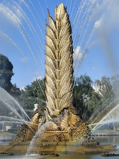 IMG 20240725 163153