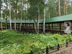 IMG 20240801 133010