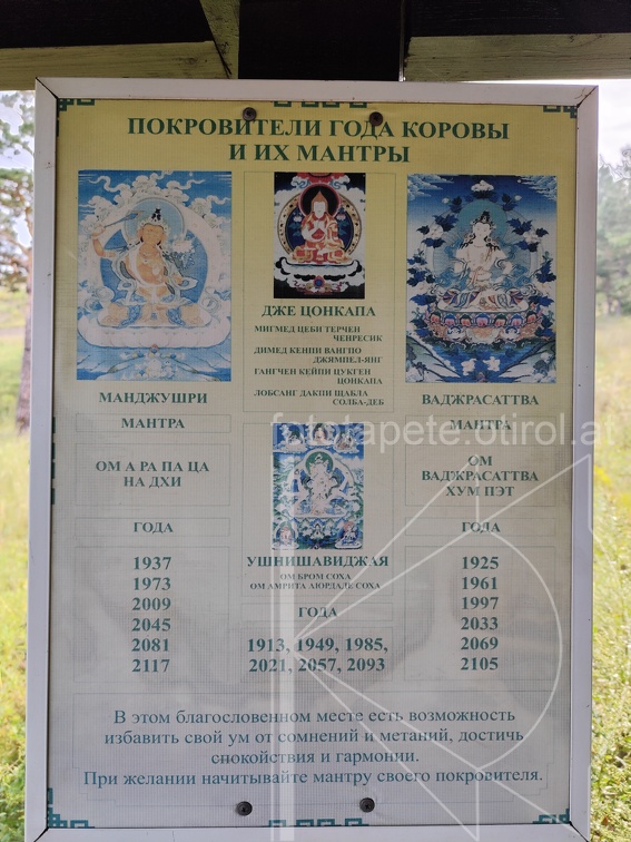IMG 20240816 101851