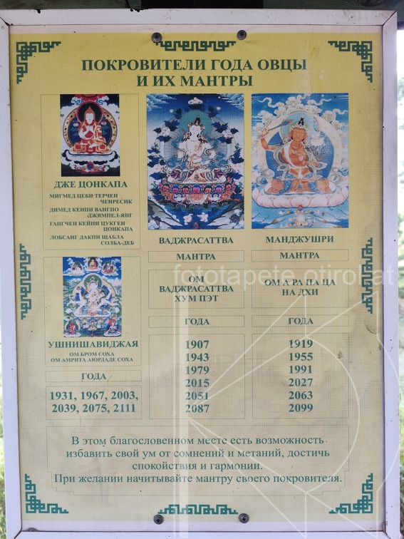 IMG 20240816 102316