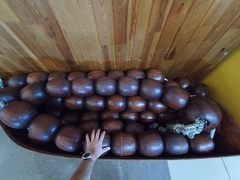 IMG 20240816 111329