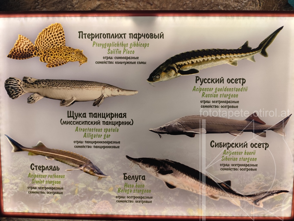 IMG 20240805 190750