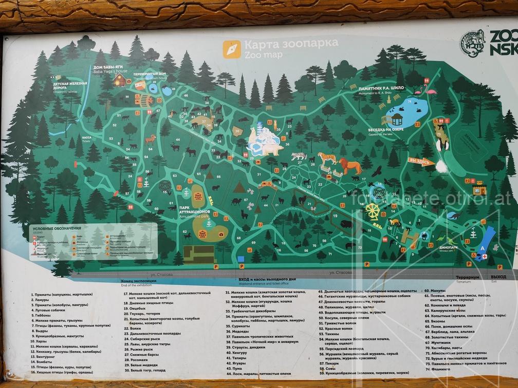 IMG 20240805 193238