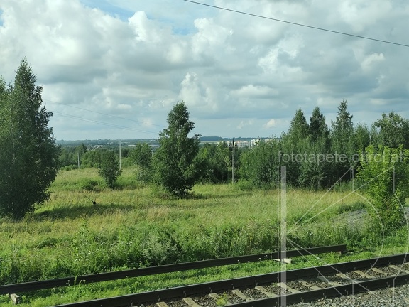 IMG 20240806 173004