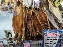 IMG 20240808 110845