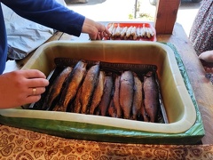 IMG 20240809 124817