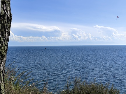IMG 20240809 153505